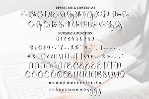 Vania Signature Script Font