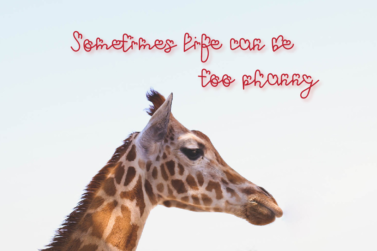 Phanny Can - A cute Font preview 4