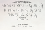 Rustic Christmas, a Handwritten Font by FreshTypeINK (Thumbnail 8 of 8)