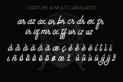 Eastsiders - Monoline Font Duo, a Script Font by Wellscript Studio (Thumbnail 13 of 14)