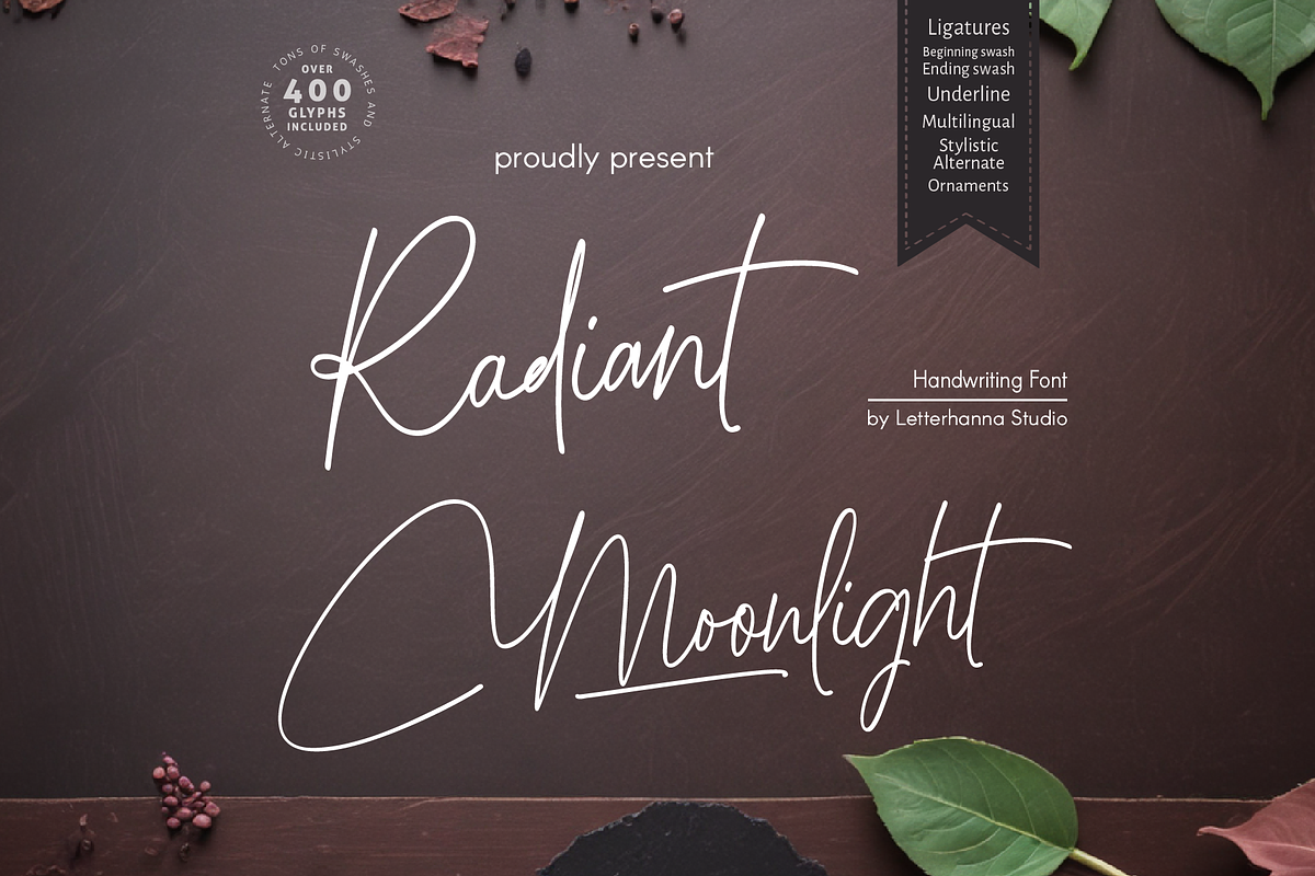 Radiant Moonlight Font, a Handwritten Font by Letterhanna Studio (Photo 1 of 15)