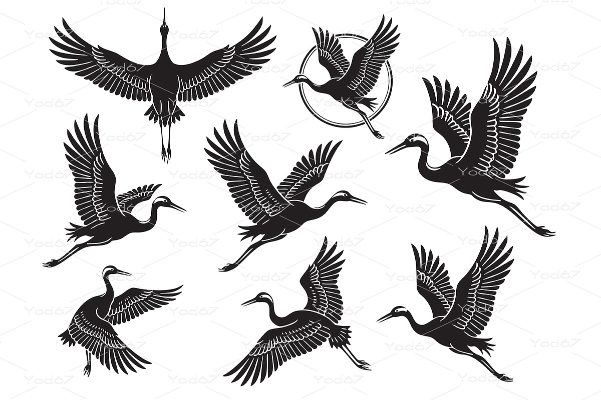Graceful set of cranes in flight, an Animal Illustration by yod67