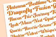 Bold Vintage Script - Hendika, a Script Font by Novitype (Thumbnail 11 of 13)