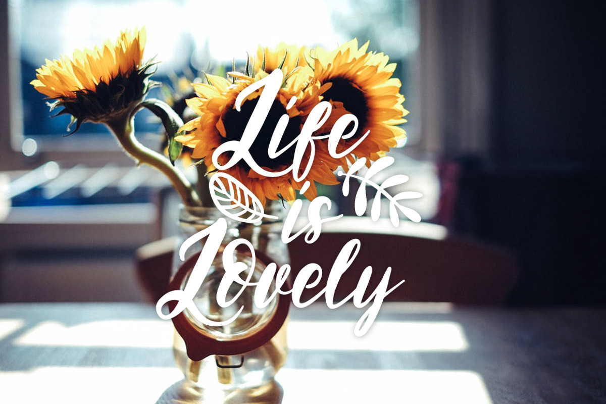 NEW! Soul Run Brush Font preview 2