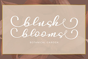 Desintona Script, a Script Font by Solidtype (Thumbnail 2 of 8)