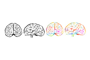Human brain graphic object . Hand, an Education Illustration by Nenahliadava Design