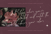 Michelin Samantha Stylish Font, a Script Font by stylishtype.co (Thumbnail 3 of 20)