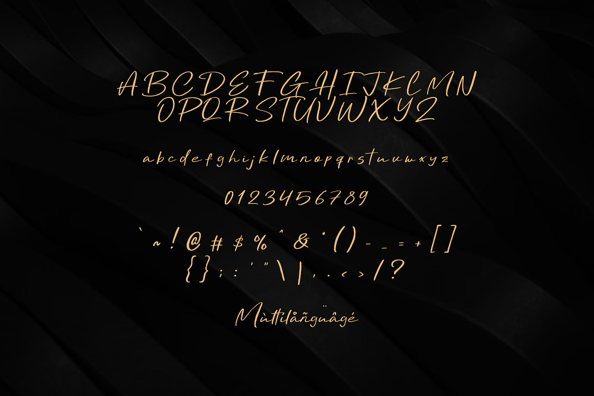 Delightis Script, a Script Font by khurasan (Photo 5 of 5)