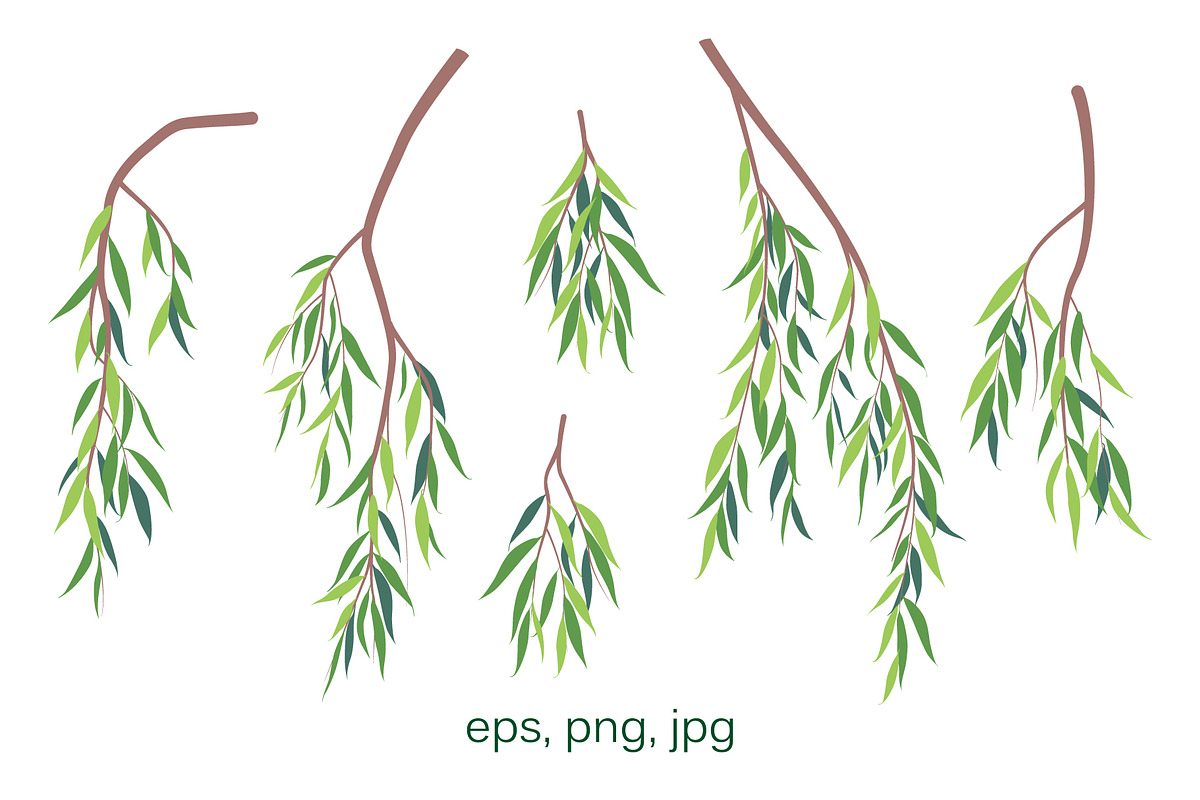 Weeping Willow Branches, a Decorative Illustration by Valentyna Smordova (Photo 2 of 7)