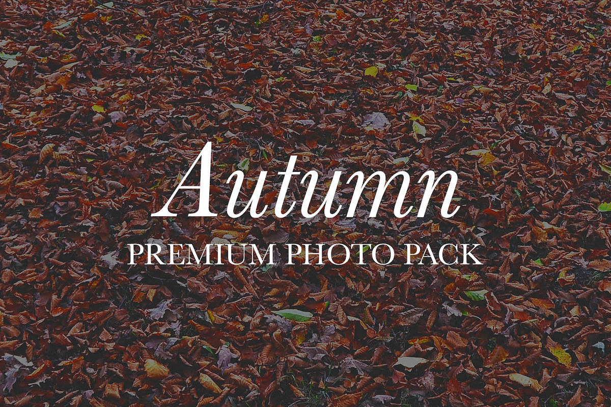 Autumn – 48 HQ Photos, a Nature Photo by Barn Images (Photo 1 of 2)