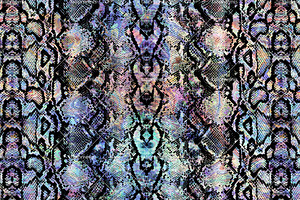 Snake Skin - Seamless Pattern