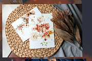 Watercolor autumn flowers bundle art, a Decorative Illustration by Edith’s World (Thumbnail 4 of 9)