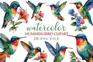Watercolor Hummingbird Clipart, an Illustration by Libby Wishes