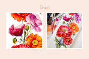 Poppy. Watercolor, a Decorative Illustration by Ekaterina Mikheeva (Thumbnail 6 of 7)