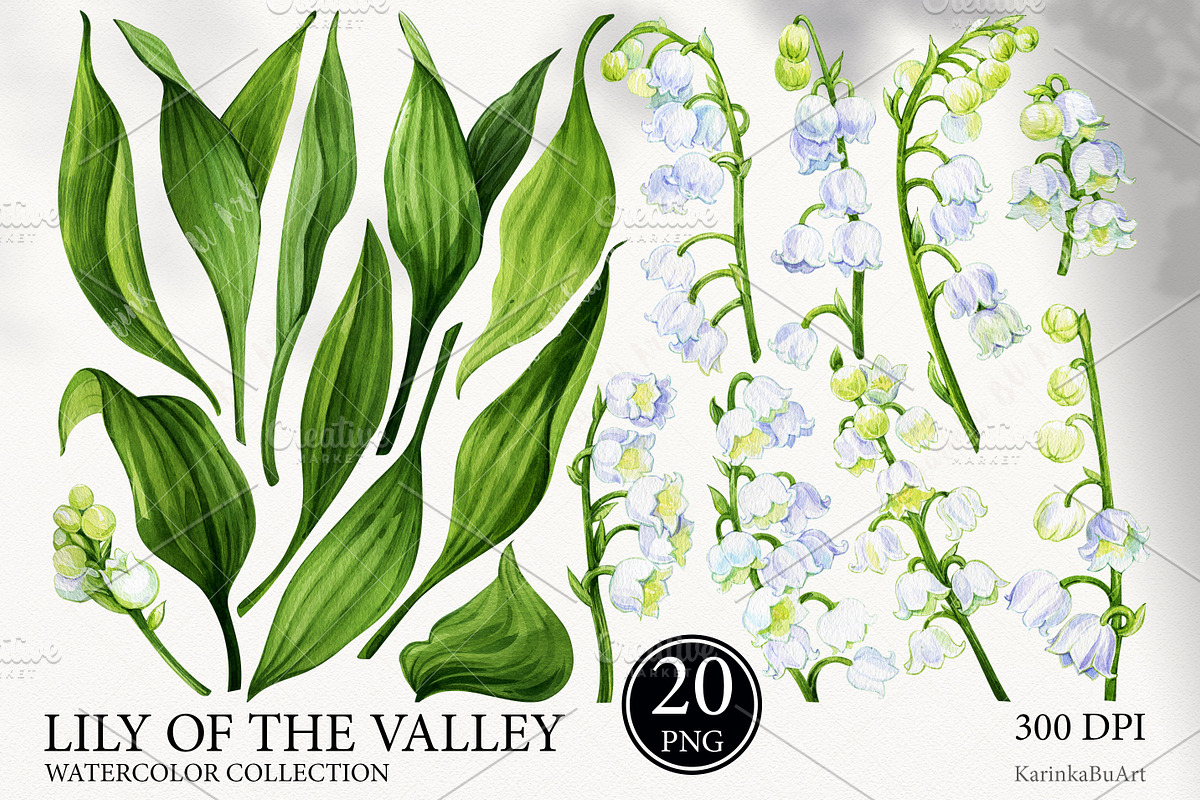 Watercolor flower Lily of the valley, a Decorative Illustration by KarinkaBU (Photo 2 of 5)