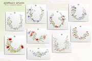 Watercolor Wildflowers Botanical Set, a Decorative Illustration by BarvArt (Thumbnail 10 of 22)