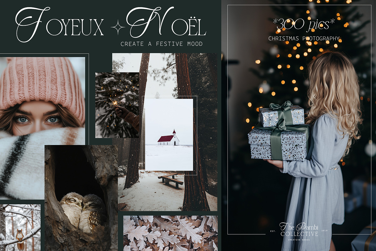 Joyeux Noel 300 Christmas Photos, a Holiday Photo by The Bambi Collective (Photo 1 of 24)