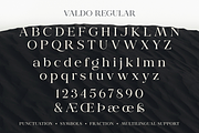 Valdo Font Family, a Serif Font by Larin Type Co. (Thumbnail 14 of 15)