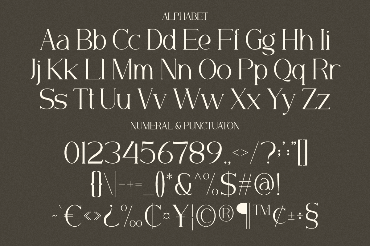 Minorid - A Modern Serif Font, a Serif Font by Marvadesign (Photo 2 of 6)