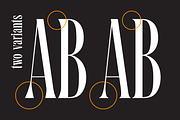 Santall: Modern Serif Font, a Serif Font by Andfonts (Thumbnail 5 of 10)