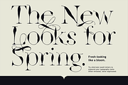 Godwit Font Family with Extras, a Serif Font by Yasir Ekinci (Thumbnail 4 of 25)