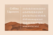 Collina // Ligature Serif Font, a Serif Font by BrandSemut (Thumbnail 11 of 11)