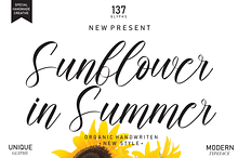 Sunflower In Summer Font