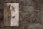 Vestige II · Organic Backgrounds, a Background Graphic by alonahaidash (Thumbnail 2 of 16)
