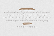 Tushy Perfume, a Script Font by Forberas Club (Thumbnail 8 of 9)