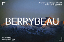 BBT Berrybeau - Grotesque Sans Serif