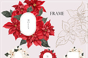 Poinsettia. Christmas Flower, an Object Illustration by ma_i_vi (Thumbnail 5 of 10)