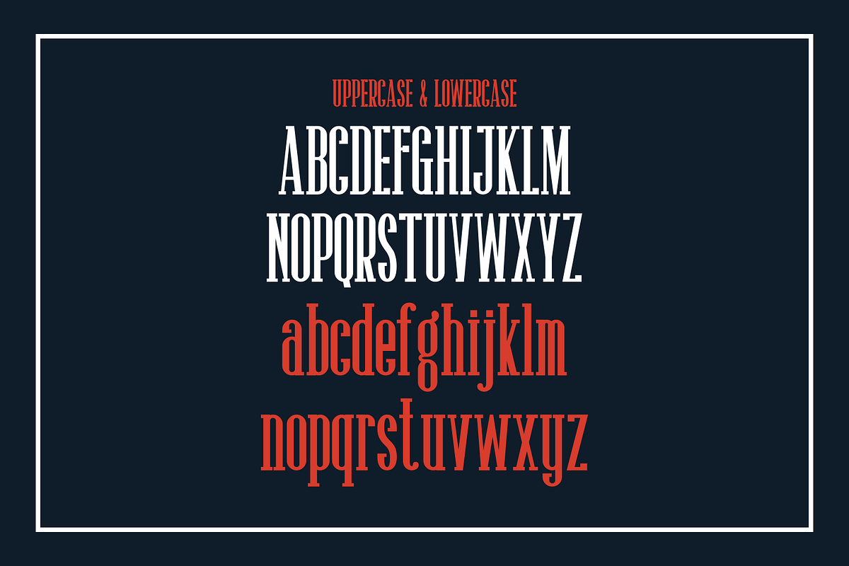 Moliner, a Serif Font by lelevien (Photo 4 of 5)