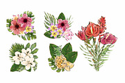 Tropical Life Clip arts & Patterns, a Graphic by Anel_S (Thumbnail 3 of 6)