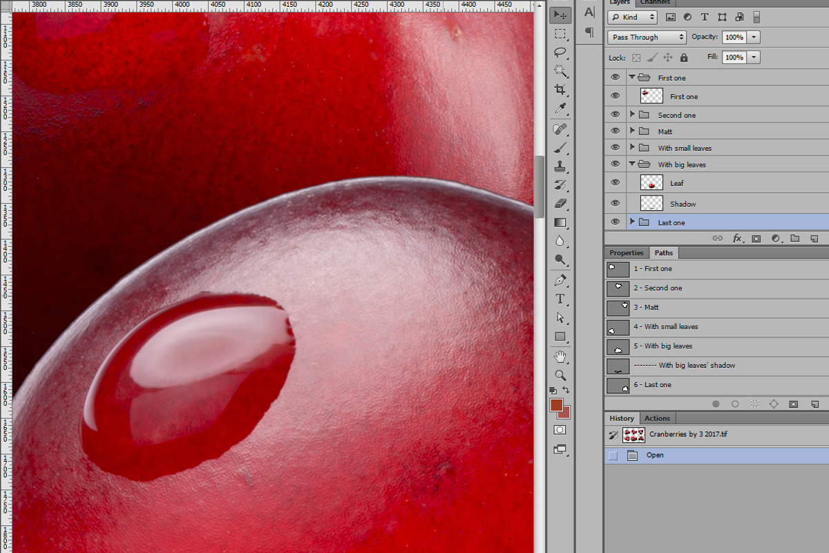 Cranberries—46 images, an Object Graphic by Hortimages (Photo 7 of 8)
