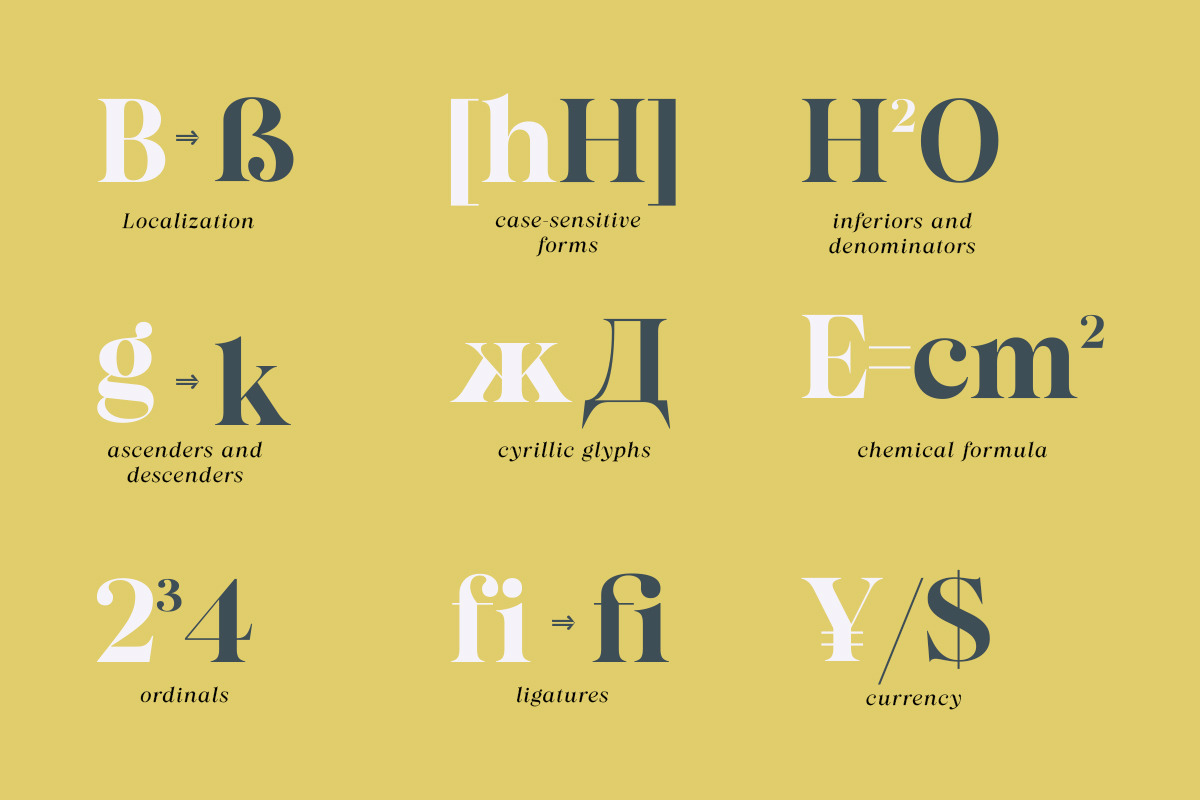Almero Serif Family, a Serif Font by Zane Studio (Photo 9 of 11)