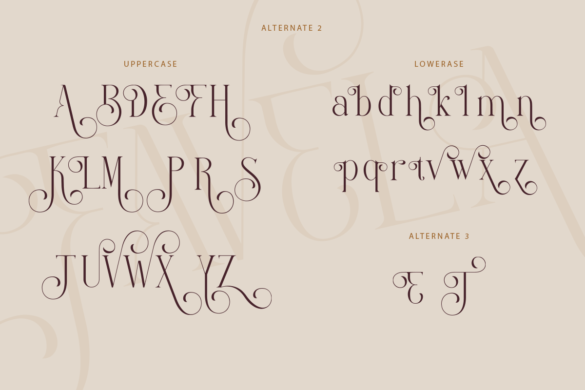 Favela, a Font by Font Liner (Photo 12 of 13)