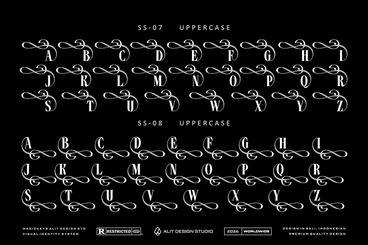 Dream Musical Typeface, a Serif Font by alit design (Photo 9 of 20)