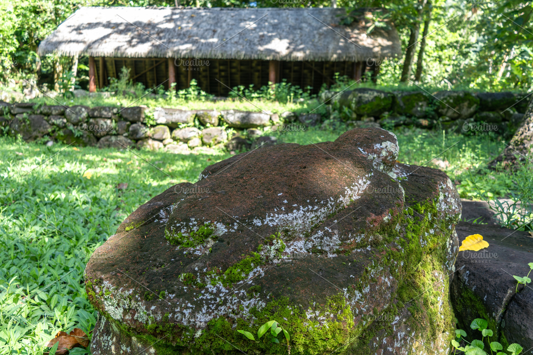 Ancient turtle statue at Kamuihei archaeological site, Nuku Hiva, an Architecture Photo by GoodGoods