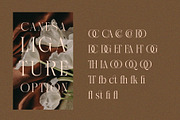 Canesa A Elegant Serif Font, a Serif Font by RantautypeStudio (Thumbnail 14 of 15)
