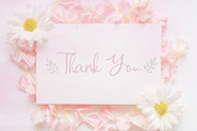 Rosemary Script! with Bonus!, a Script Font by Chocotype Std (Thumbnail 10 of 10)