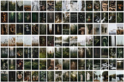 Forest Stock Photos | Moody Woodland, a Nature Photo by Tale.Haus (Thumbnail 17 of 20)