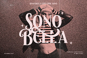 Besta Rosta - Romantic Classic Font, a Serif Font by Drizy (Thumbnail 7 of 10)