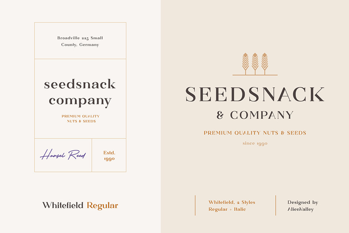 The Versatile Font Bundle preview 4