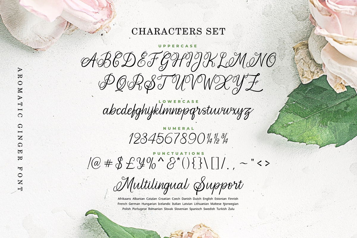 Aromatic Ginger, a Script Font by Java pep (Photo 12 of 14)