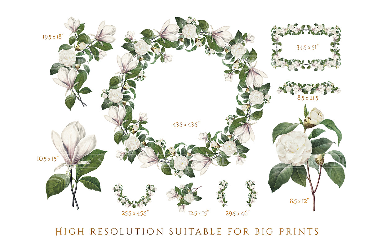 White Floral Clipart, Wreath, Frames, an Illustration by Secret Helper (Photo 7 of 9)