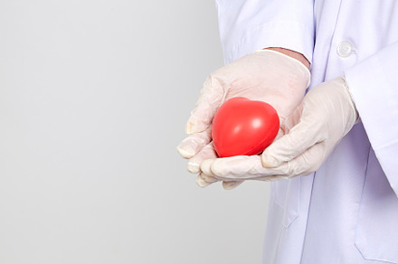 Cardiologist doctor holding red hear, a Background Photo by 1981 Rustic studio kan