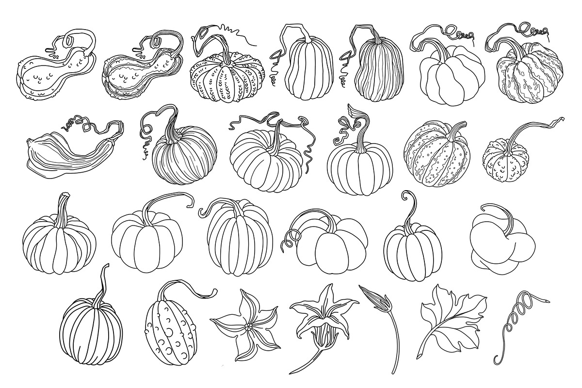 Pumpkins Stamp brushes, a Brush Add-On by ViktoriArt (Photo 2 of 8)