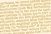 Pleuf Pro - The Complete Family, a Serif Font by Polytype (Thumbnail 5 of 10)
