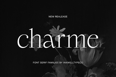 Charme Serif Family, a Serif Font by InkwellTypeCo