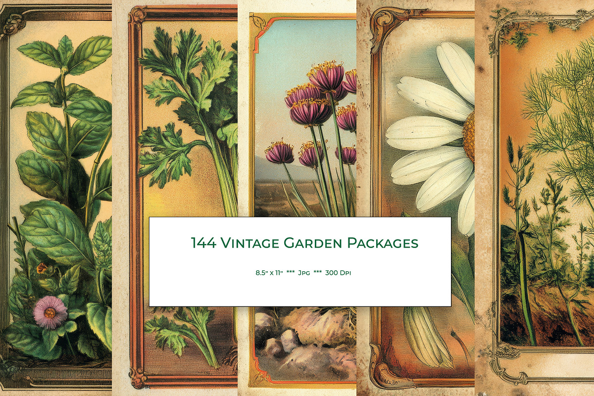 Vintage Garden Packets, a Seasonal Illustration by karenfoleyphoto (Photo 1 of 15)